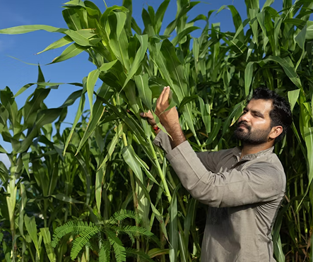 Learn with Experts – Anytime, Anywhere