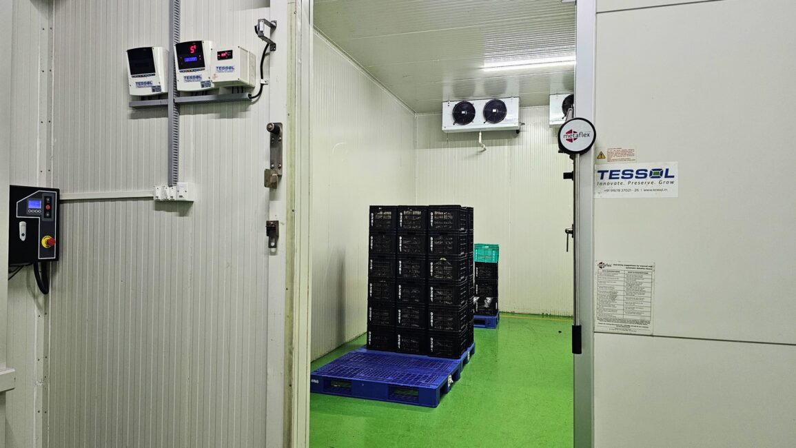 Cold Storage