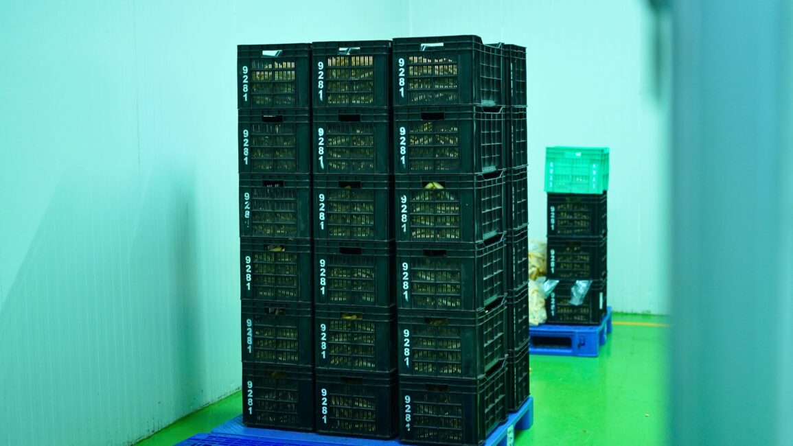 Cold Storage