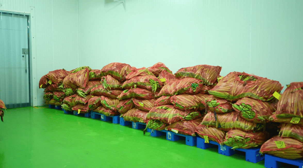 Cold Storage