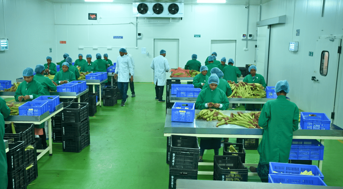 Cold Storage