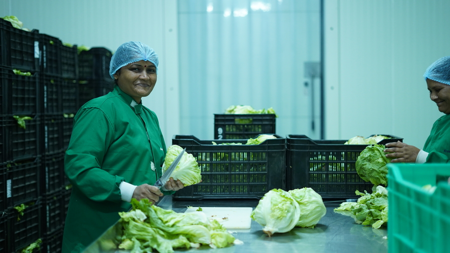 Cold Storage Worker