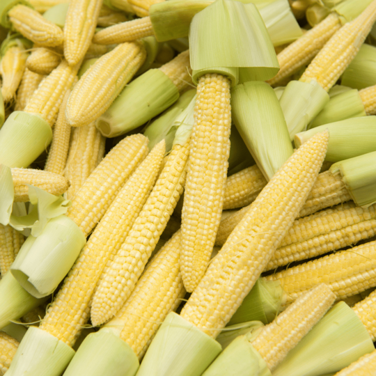 Baby Corn